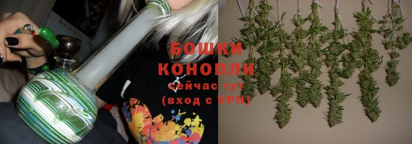 альфа пвп Бородино