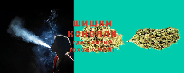 ПСИЛОЦИБИНОВЫЕ ГРИБЫ Бронницы