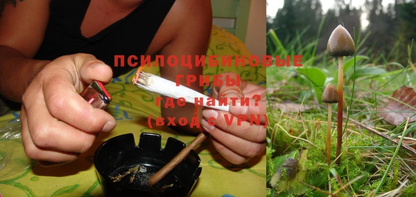 альфа пвп Бородино