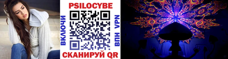 Псилоцибиновые грибы Psilocybine cubensis  Купить  Волхов 