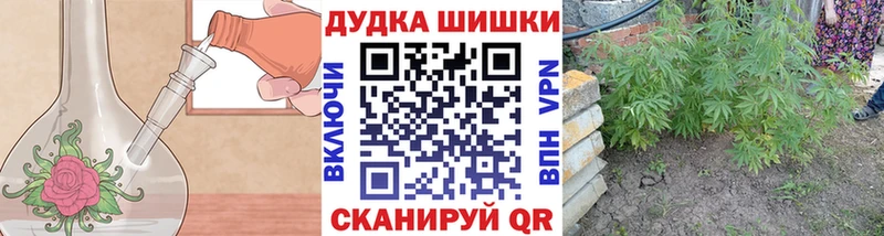 Купить  Волхов  Марихуана конопля 